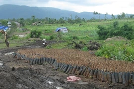 Chi hàng chục tỷ đồng để bảo vệ, rừng vẫn bị phá