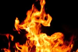 Nướng bánh tráng... cháy luôn cửa hàng