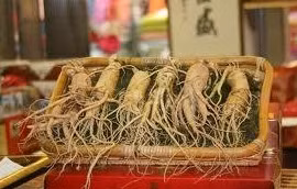 "Lật tẩy" chiêu trò lừa bán sâm để chữa ung thư