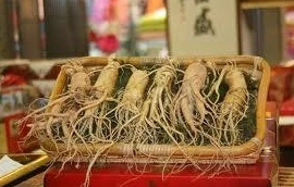 "Lật tẩy" chiêu trò lừa bán sâm để chữa ung thư