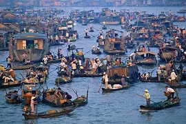 Vietrantour giảm giá tất cả tour nhân sinh nhật 10 tuổi