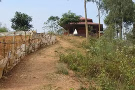 Ám ảnh chuyện chết chóc, ly tán