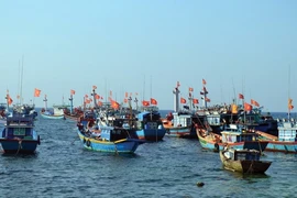 Đóng tàu lớn, hiện đại để ngư dân yên tâm bám biển!