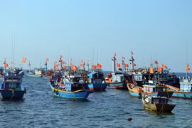 Đóng tàu lớn, hiện đại để ngư dân yên tâm bám biển!