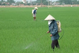 Thuốc trừ sâu có liên quan với tiểu đường týp 2