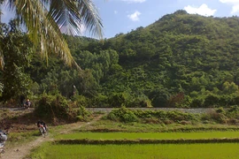 Xác định được nạn nhân vụ "Đào thần dược được... xác chết"