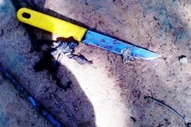 Dùng dao đâm chết người yêu khi đang tâm sự đêm khuya