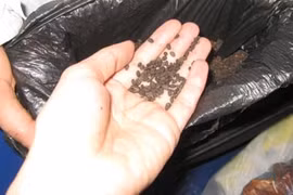 Lừa đảo, hô biến hạt đỗ thành thuốc chữa đau đầu