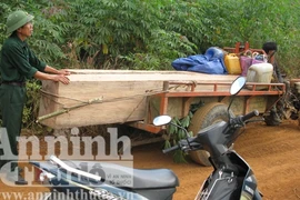 Rừng tan hoang vì bảo vệ hóa thành... lâm tặc