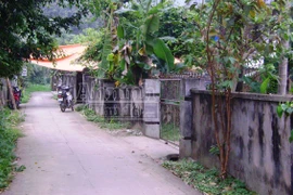 Ở một mình, cụ bà bị sát hại, khuyên tai vàng biến mất