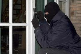 “Đạo chích” trộm yến huyết đỏ tươi