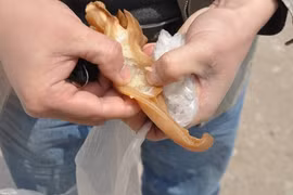 Hãi hùng tai lợn giả của Trung Quốc chứa chất gây ung thư