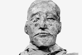 Pharaoh cổ đại có thể chết do bị cắt cổ