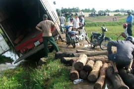 Mua, vận chuyển gỗ trái phép, bị phạt 225 triệu đồng