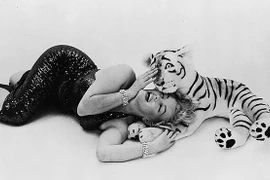 "Huyền thoại sắc đẹp" Marilyn Monroe rực rỡ bên thú cưng