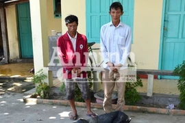 Bắt 2 đối tượng dùng hóa chất đánh bắt hải sản