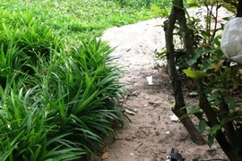 Cảnh sát hình sự bắn chết côn đồ hung hãn là đúng