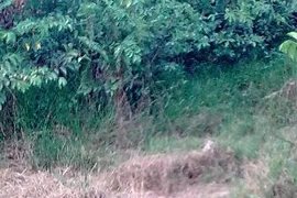 Truy tìm tung tích nạn nhân chết trong khu đô thị Cầu Bươu