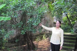 Thực hư ngọn núi chôn sống người đẹp ở Hà Nội