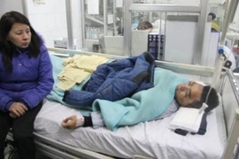 Bị hành hung tập thể lúc nửa đêm, 32 sinh viên bỏ thực tập 