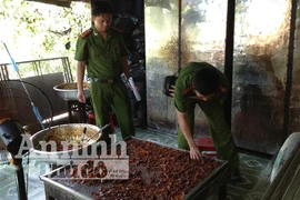 Phát hiện công ty tuồn ra thị trường 600kg thịt bò khô rởm mỗi ngày