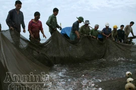 Sóng gió mưu sinh của những người bám biển