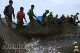 Sóng gió mưu sinh của những người bám biển
