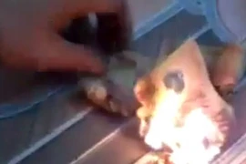 Nam thanh niên "đốt tiền mua vui" sẽ bị xử lý thế nào?