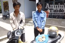Khởi tố 2 anh em ruột lăng mạ, tấn công CSGT
