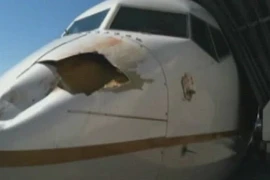Máy bay Mỹ thủng lỗ lớn vì bị chim... "tấn công"