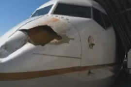Máy bay Mỹ thủng lỗ lớn vì bị chim... "tấn công"