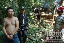 Đánh úp "bãi vàng" đầu nguồn suối Ka Lang