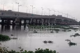 Nam thanh niên hét lớn rồi nhảy cầu tự tử