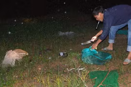 Động vật hoang dã về rừng trong đêm