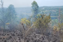 Kiệt sức trong khi dập lửa, một chủ rẫy tử vong