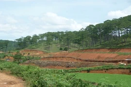 Bắt giám đốc chuyên lừa bán đất rừng