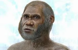 Phát hiện sinh vật mới giống loài người