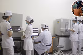 Dùng ADN lật tẩy trò lừa đảo ngoại cảm - tìm mộ