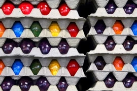 Biến vỏ trứng thành chất dẻo