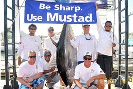 Trở thành triệu phú nhờ câu được cá ngừ nặng gần 200kg