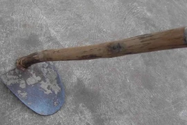 Dùng cuốc đoạt mạng chồng lúc nửa đêm