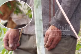 Nghi án giết người cướp của, treo xác nạn nhân tạo hiện trường giả