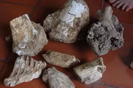 Hang động kỳ bí chứa kho xương cổ khổng lồ (3)