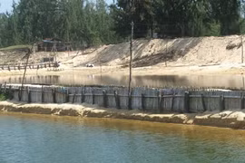 Lấn chiếm đất rừng nuôi tôm, 8 cán bộ, đảng viên bị kỷ luật