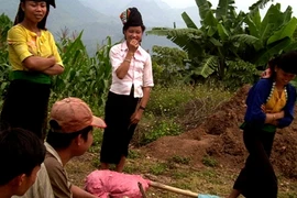 Cuộc tình lãng mạn trong đêm chọc sàn tìm vợ