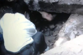 Ngáo đá, nam thanh niên chui xuống ống cống