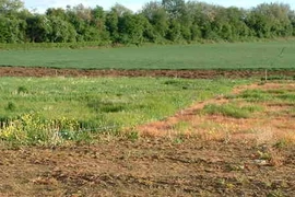 Luật đất đai (sửa đổi) sẽ được thông qua vào năm 2013