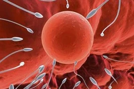 Hướng mới trong điều trị vô sinh