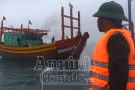  Kịp thời đưa 8 ngư dân bị nạn ngoài khơi vào bờ an toàn