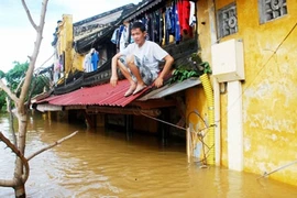 24 người chết, mất tích do lũ